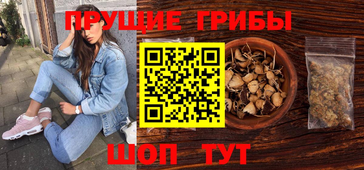 Псилоцибиновые грибы прущие грибы Дубна